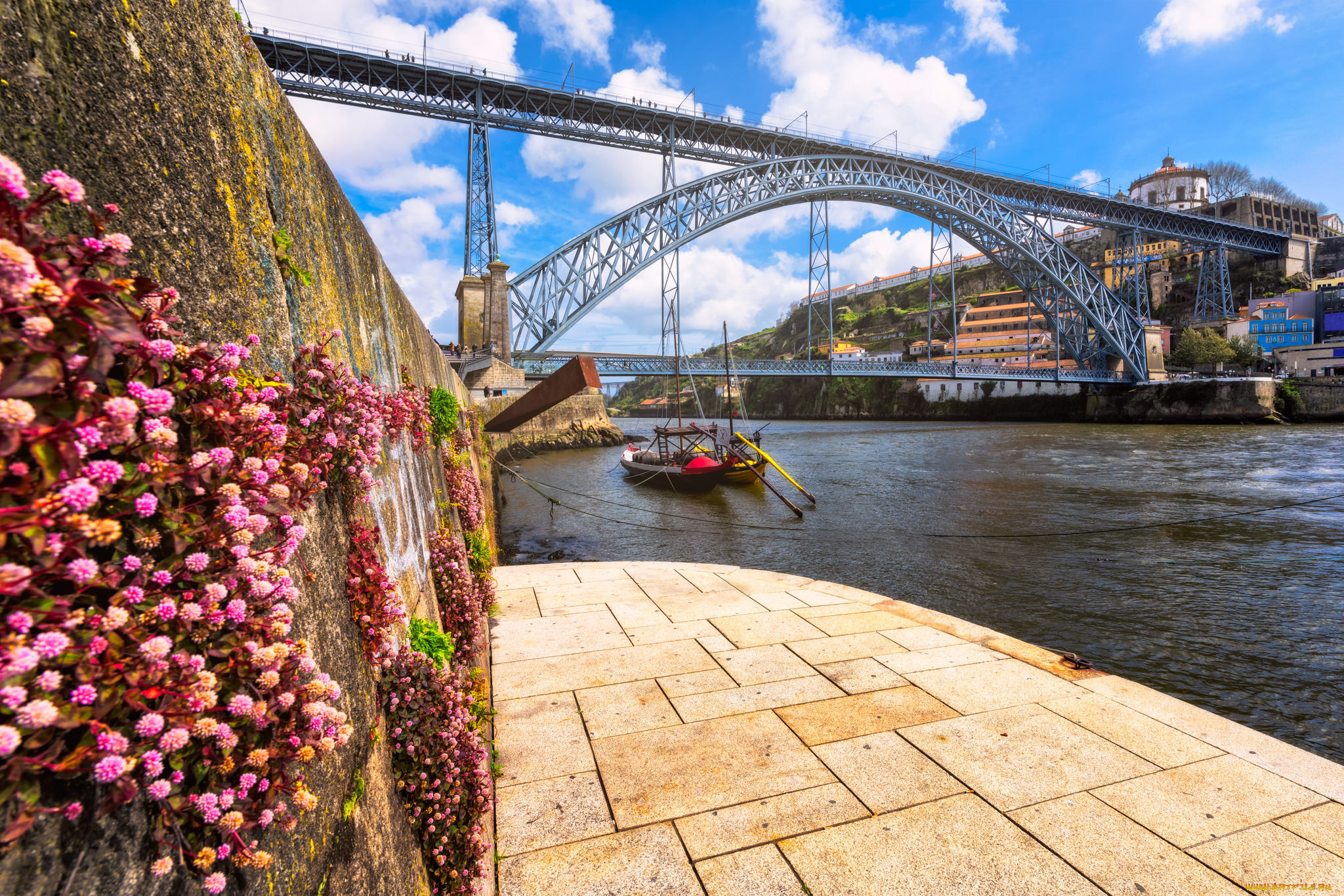 porto,  portugal, ,  , , , 